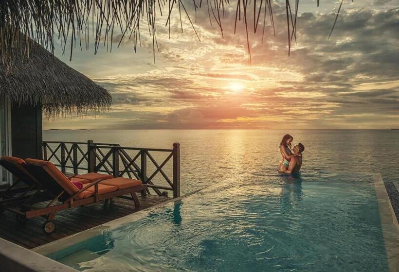 ویلای یک اتاق خوابه با استخر شنا, Sun Siyam Vilu Reef 24 Hour All Inclusive With Free Transfers