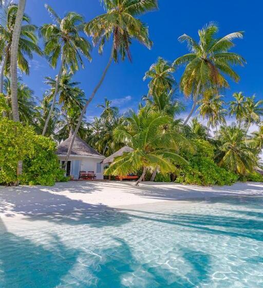 ویلای لوکس 1 خوابه, Sun Siyam Vilu Reef 24 Hour All Inclusive With Free Transfers