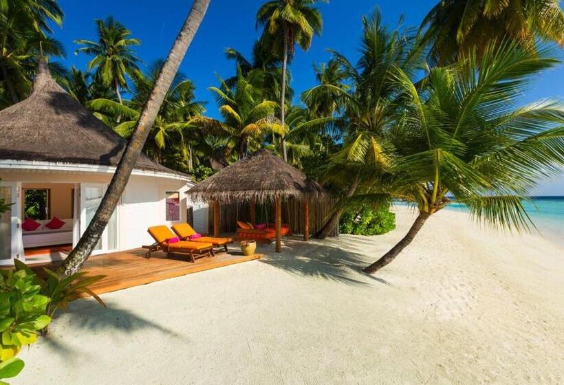 ویلای لوکس 1 خوابه, Sun Siyam Vilu Reef 24 Hour All Inclusive With Free Transfers