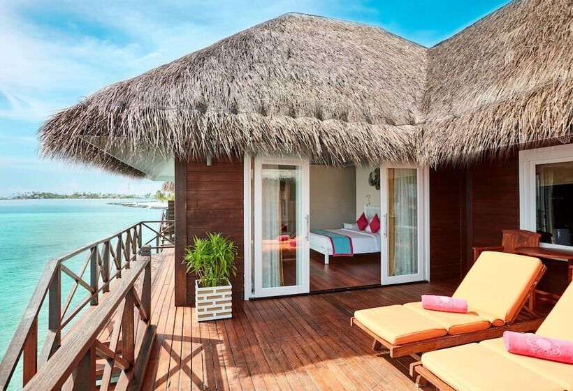 ویلای 1 خوابه, Sun Siyam Vilu Reef 24 Hour All Inclusive With Free Transfers