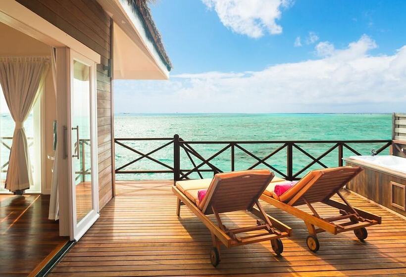 ویلای 1 خوابه, Sun Siyam Vilu Reef 24 Hour All Inclusive With Free Transfers