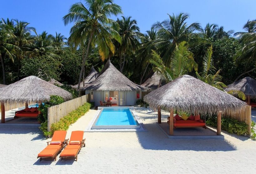 ویلای یک اتاق خوابه با استخر شنا, Sun Siyam Vilu Reef 24 Hour All Inclusive With Free Transfers