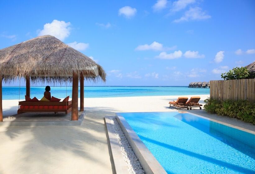 ویلای یک اتاق خوابه با استخر شنا, Sun Siyam Vilu Reef 24 Hour All Inclusive With Free Transfers