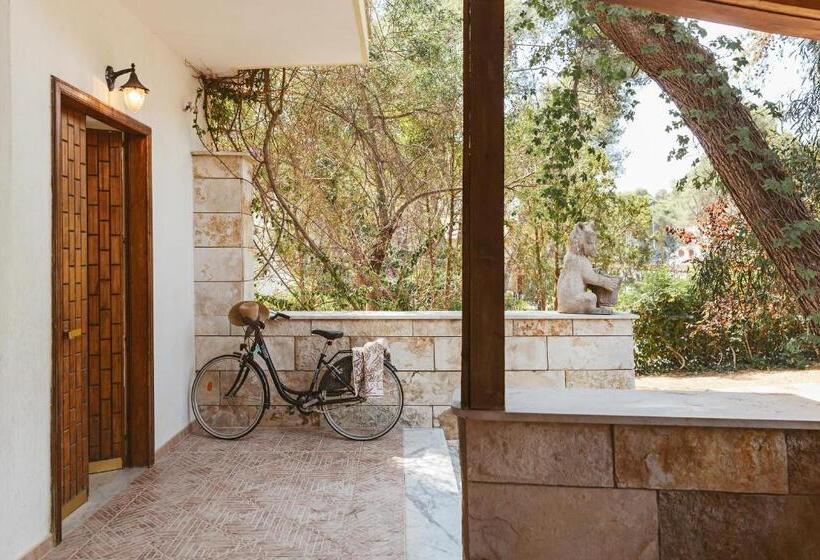 اتاق استاندارد, B&b Viale Dei Pini