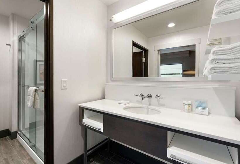 Студио Стандарт Кровать Кинг, Hampton Inn & Suites Boston/waltham