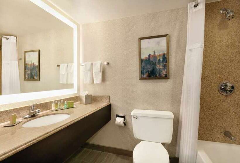Номер Стандарт Адаптированный для Инвалидов, Hampton Inn & Suites Boston/waltham