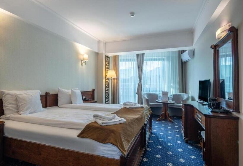 غرفة قياسية مطلة على الجبل, Ski&sky