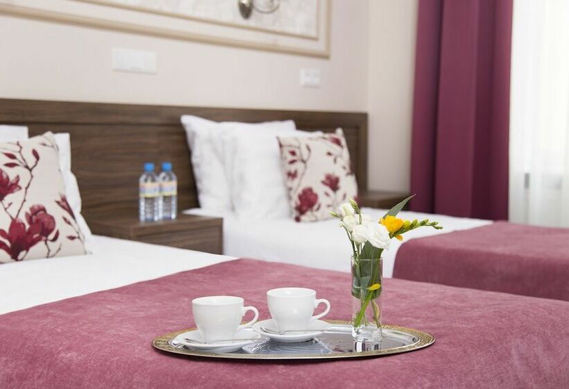 غرفة قياسية, Grand Hotel Tchaikovsky