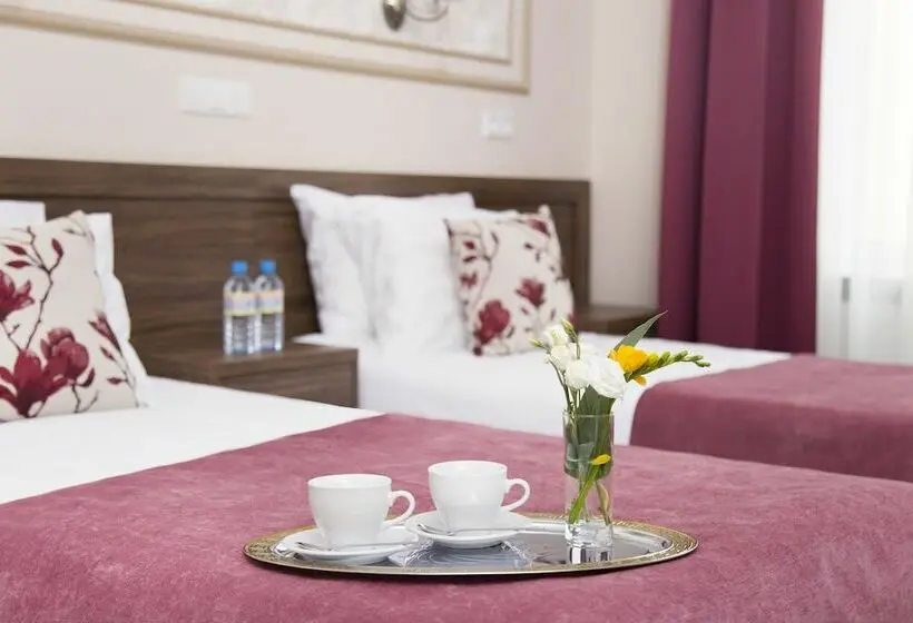 Standard Room, Grand Hotel Tchaikovsky