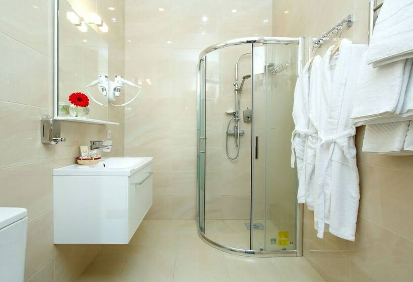 غرفة قياسية, Grand Hotel Tchaikovsky