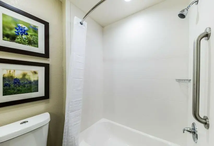 スイート, Comfort Suites Grand Prairie  Arlington North