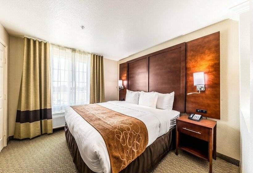Люкс, Comfort Suites Grand Prairie  Arlington North