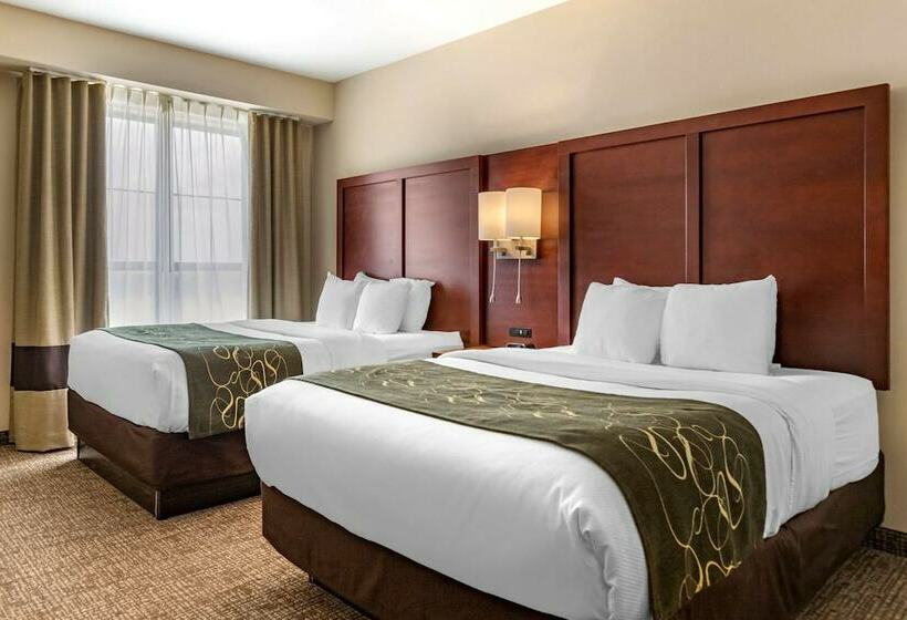 スイート, Comfort Suites Kyle