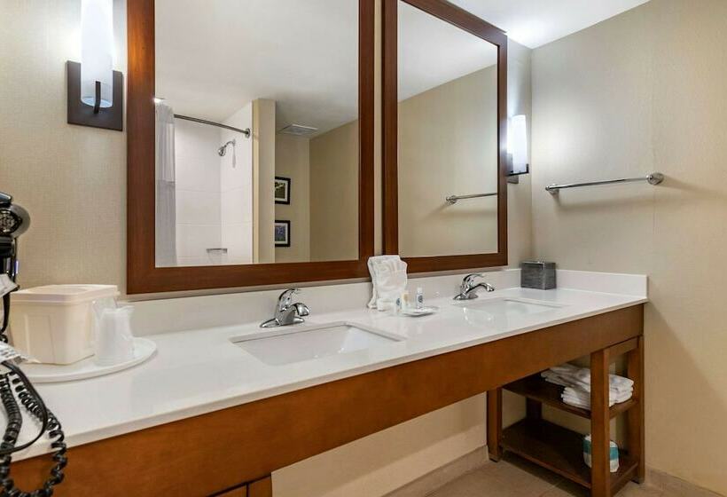 スイート, Comfort Suites Kyle