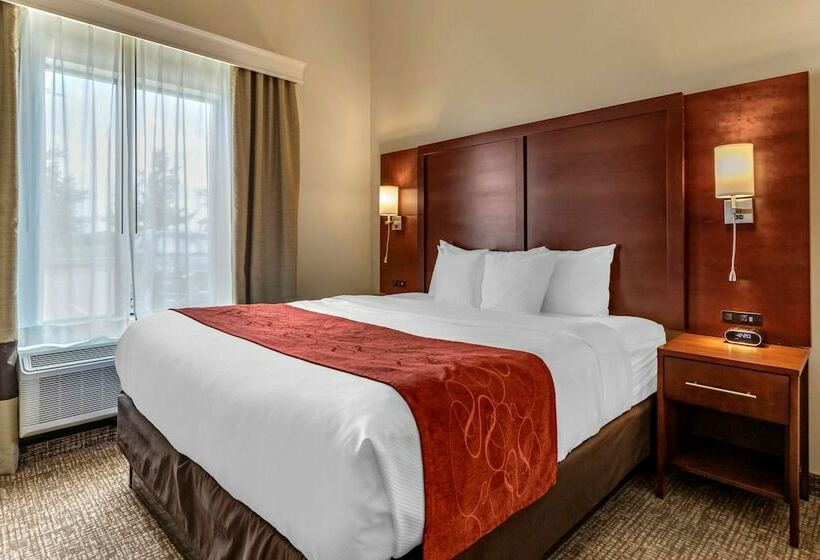 スイート, Comfort Suites Kyle