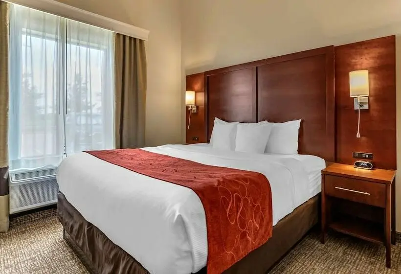 スイート, Comfort Suites Kyle