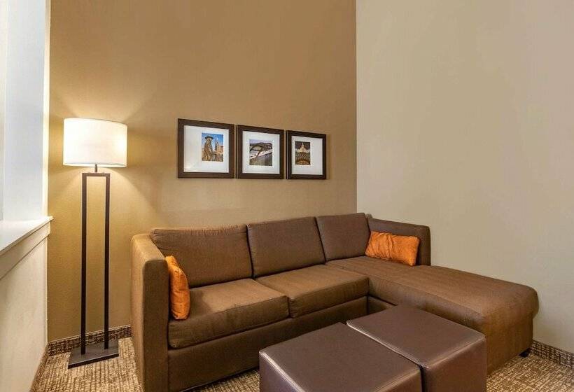 スイート, Comfort Suites Kyle