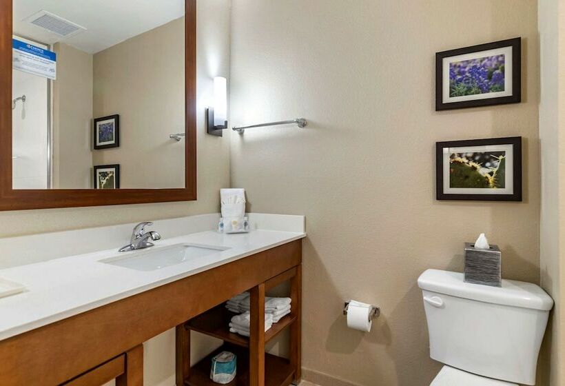 套房, Comfort Suites Kyle