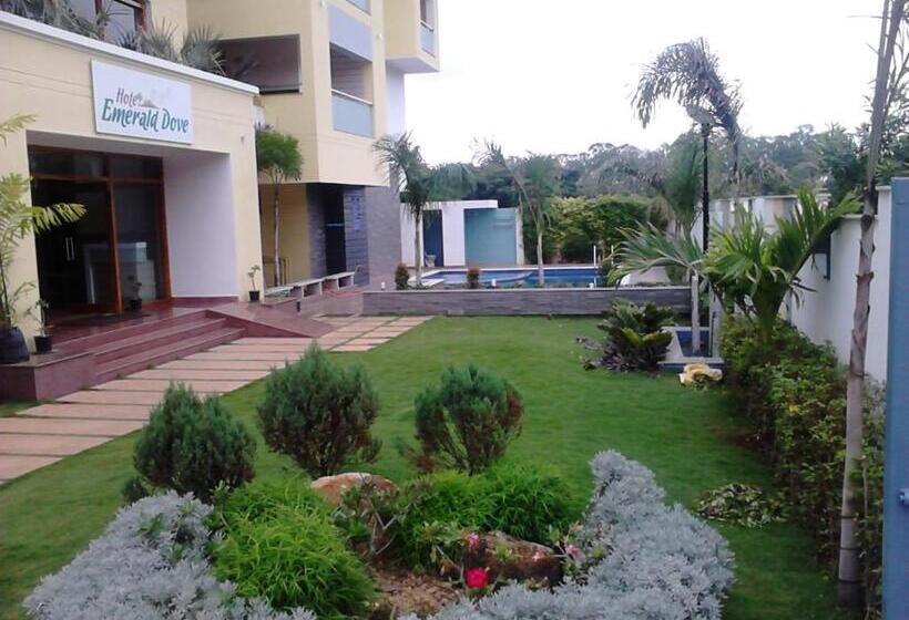 סוויטה מלכותית, Emerald Dove