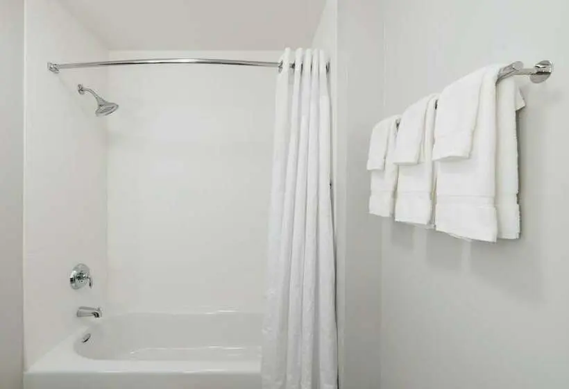 スタンダードルーム, Holiday Inn Express & Suites Lake Havasu London Bridge, An Ihg
