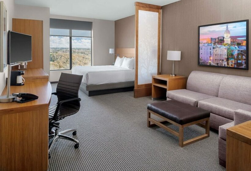 جناح لذوى الاحتياجات الخاصة, Hyatt Place Athens/downtown