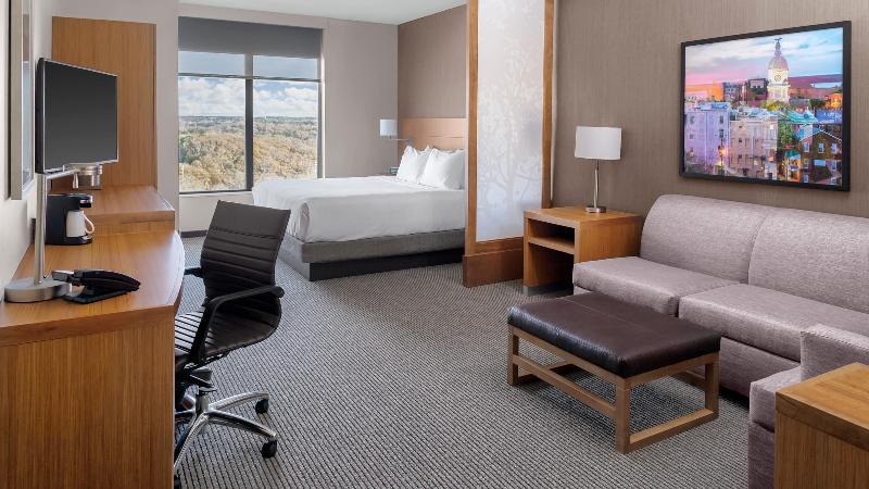 غرفة قياسية سرير كينج, Hyatt Place Athens/downtown