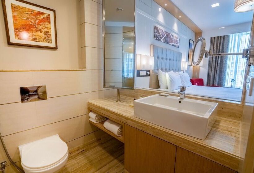 高级大房间, Radisson Blu Pune Hinjawadi