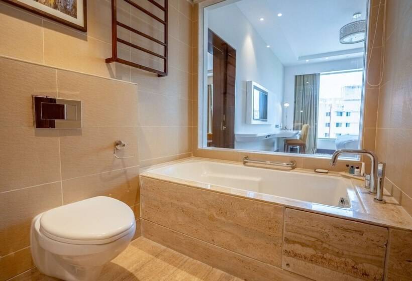 商务房间, Radisson Blu Pune Hinjawadi