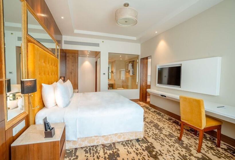 商务房间, Radisson Blu Pune Hinjawadi