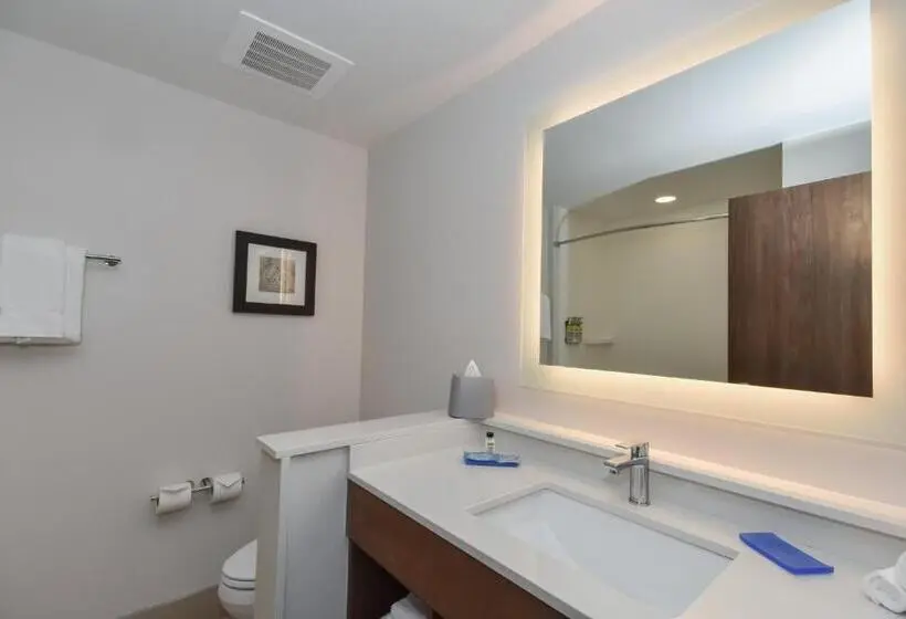 スタンダードルーム, Holiday Inn Express & Suites Charlotte   Ballantyne, An Ihg