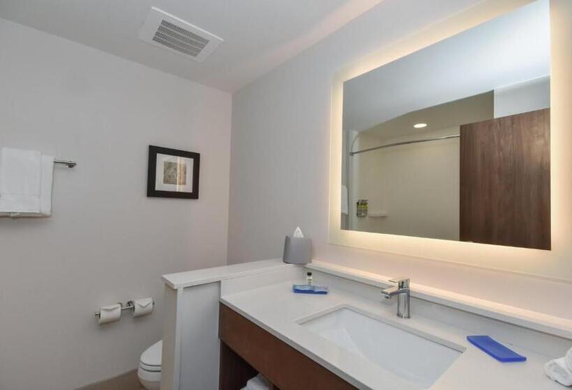 سوییت, Holiday Inn Express & Suites Charlotte Ballantyne, An Ihg