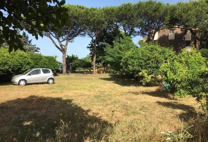 חדר דלוקס נוף לים, Villa Viuli