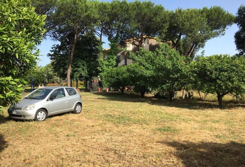 带泳池观景的豪华房, Villa Viuli