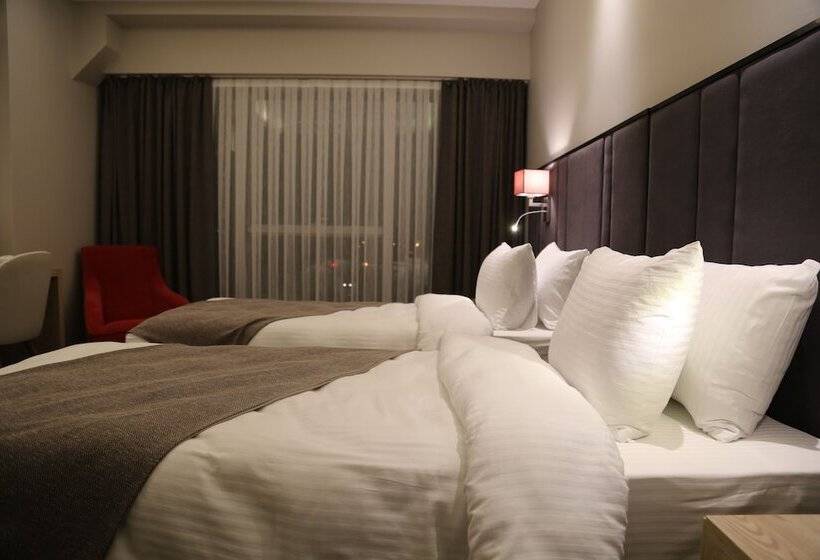 غرفة قياسية, City Inegol