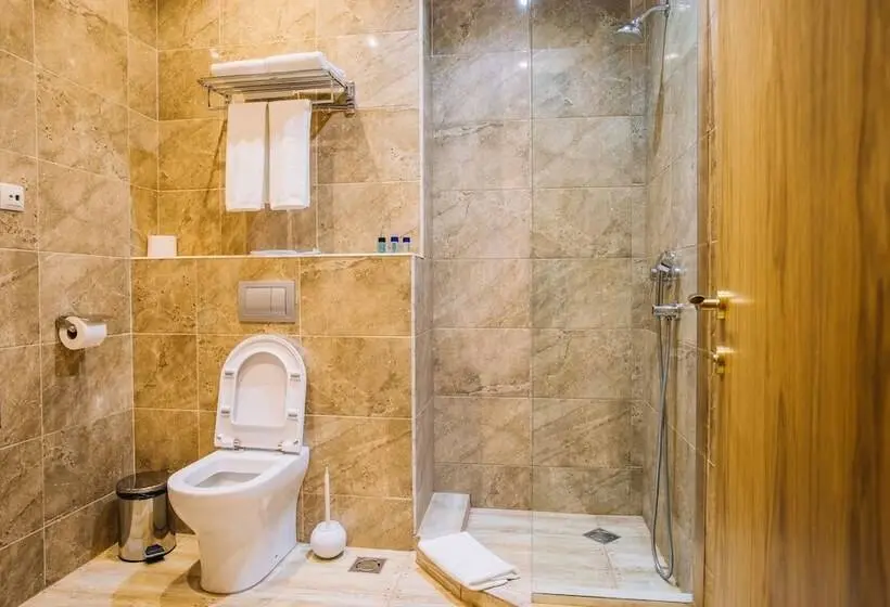 اتاق استاندارد, Sno Inn Kazbegi