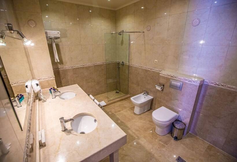 דירת חדר סופריור, Sno Inn Kazbegi