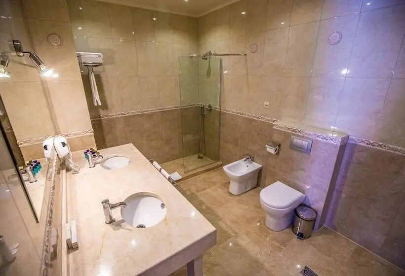 آپارتمان سوپریور 1 خوابه, Sno Inn Kazbegi