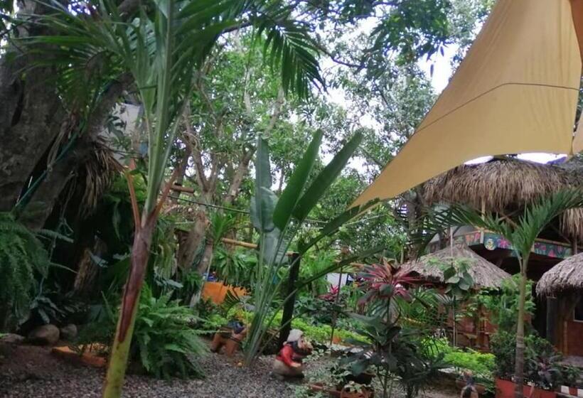 غرفة قياسية, La Natura Hostel & Pool