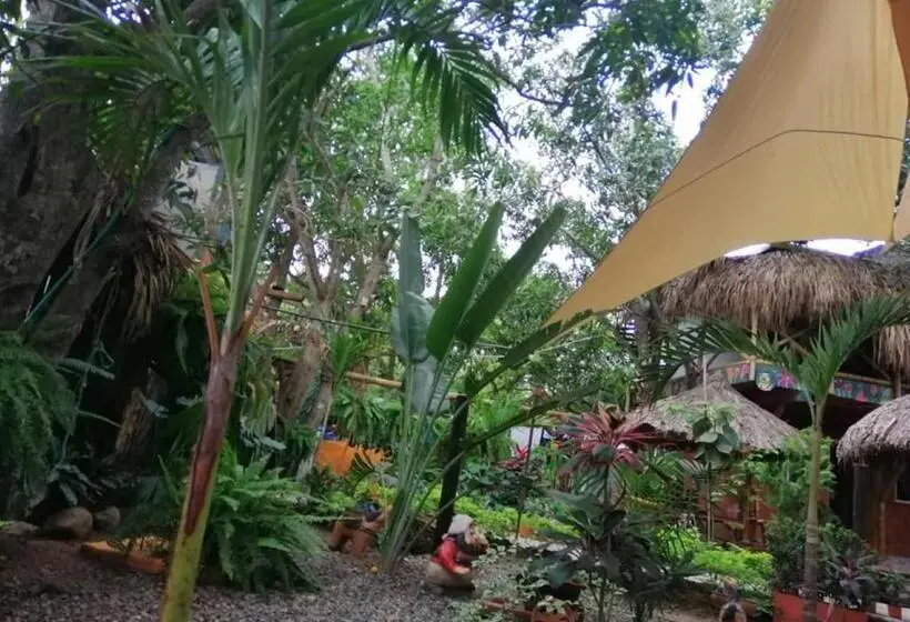 スタンダードルーム, La Natura Hostel & Pool