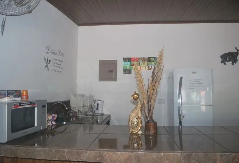 ルームシェアのワンベッド, Passifloras Hostel
