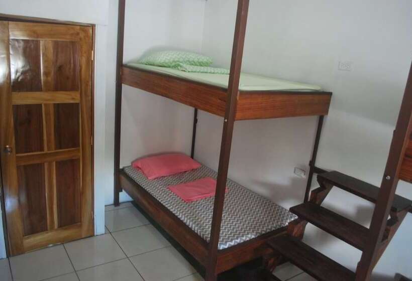 공동 객실, Passifloras Hostel