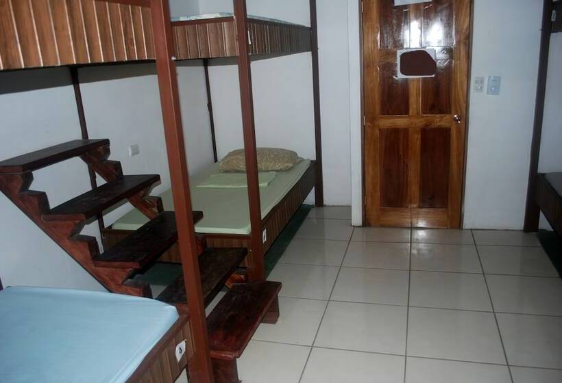 מיטה בחדר משותף, Passifloras Hostel