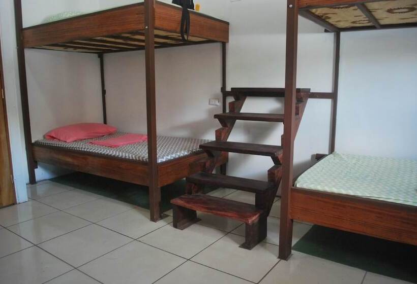 공동 객실, Passifloras Hostel