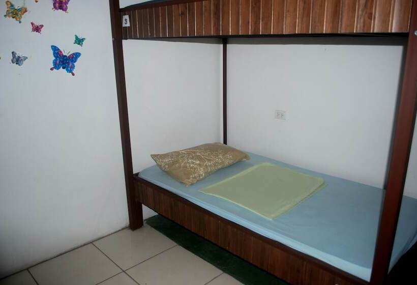 מיטה בחדר משותף, Passifloras Hostel