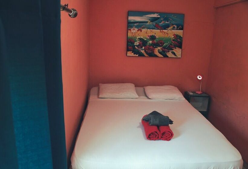 اتاق استاندارد, Twin Fin Hostels