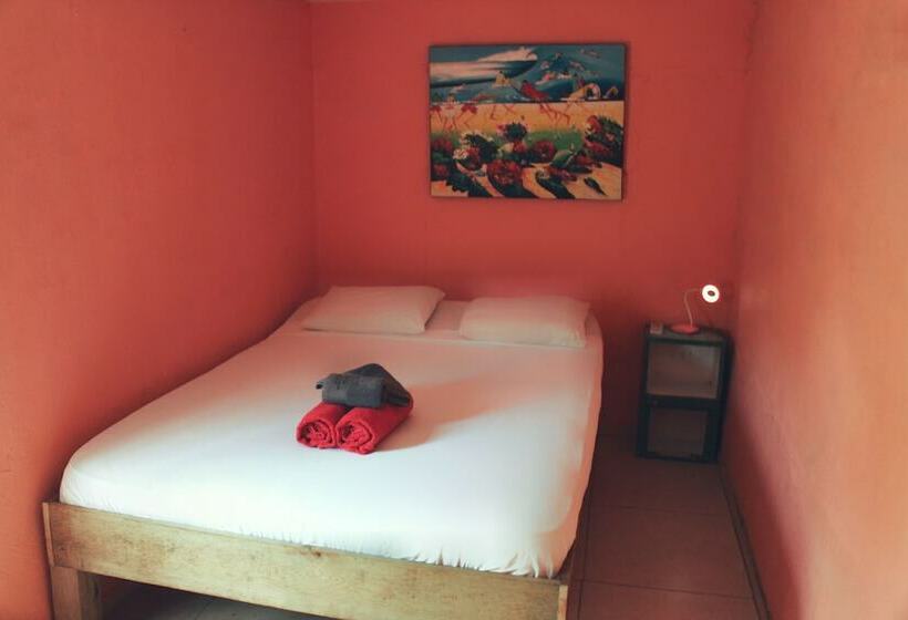 اتاق استاندارد, Twin Fin Hostels