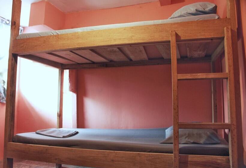 تختخواب در اتاق مشترک, Twin Fin Hostels