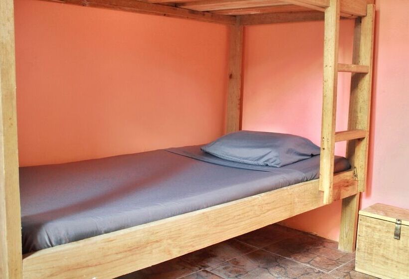 تختخواب در اتاق مشترک, Twin Fin Hostels