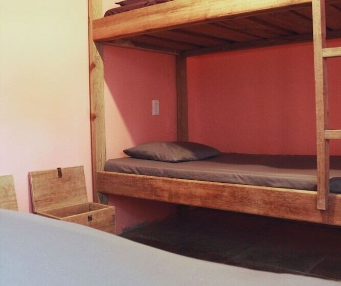 سرير فى غرفة مشتركه, Twin Fin Hostels