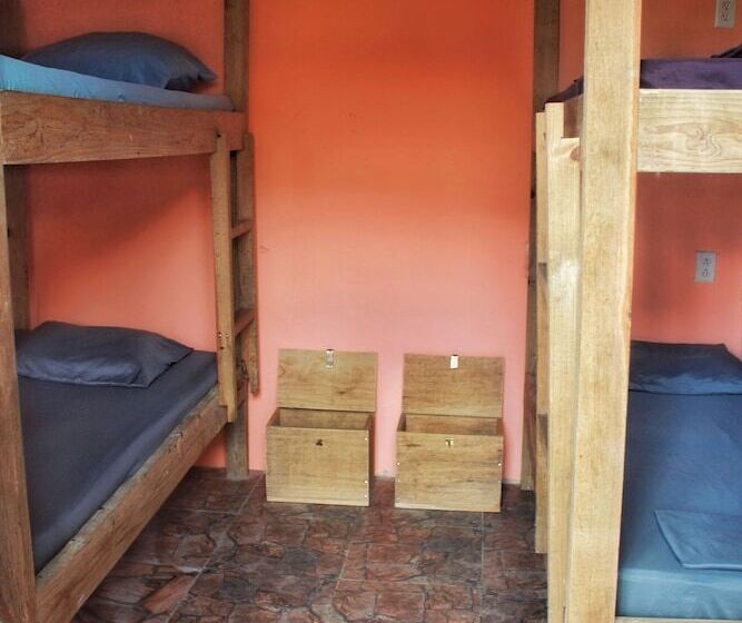 تختخواب در اتاق مشترک, Twin Fin Hostels